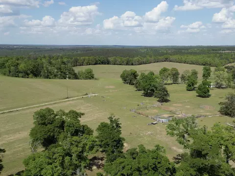 1328 Oconnell Ln, Chipley, FL 32428 photo 10