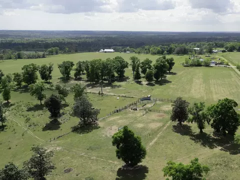 1328 Oconnell Ln, Chipley, FL 32428 photo 9