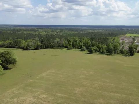 1328 Oconnell Ln, Chipley, FL 32428 photo 17