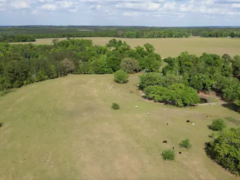 1328 Oconnell Ln, Chipley, FL 32428 photo 27
