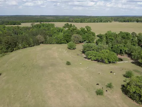 1328 Oconnell Ln, Chipley, FL 32428 photo 26