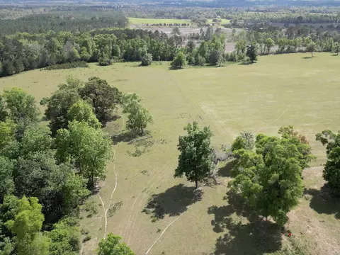 1328 Oconnell Ln, Chipley, FL 32428 photo 7