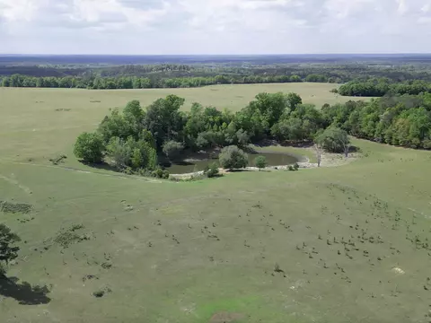 1328 Oconnell Ln, Chipley, FL 32428 photo 13