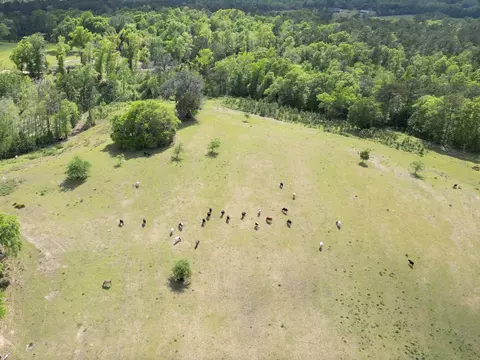 1328 Oconnell Ln, Chipley, FL 32428 photo 19