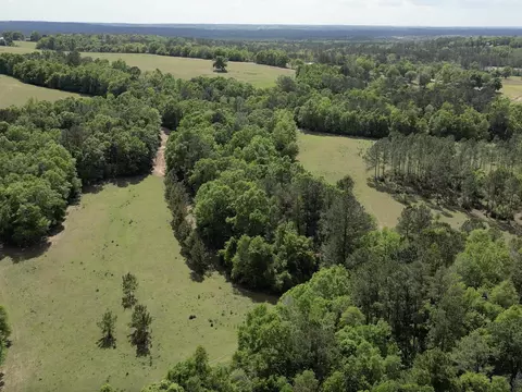 1328 Oconnell Ln, Chipley, FL 32428 photo 28