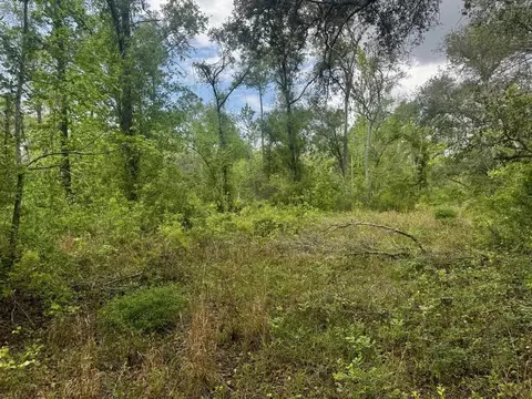 3084 NE Chervil Dr, Lee, FL 32059 photo 13