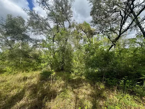 3084 NE Chervil Dr, Lee, FL 32059 photo 17