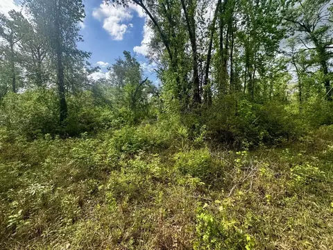 3084 NE Chervil Dr, Lee, FL 32059 photo 24