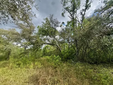 3084 NE Chervil Dr, Lee, FL 32059 photo 28