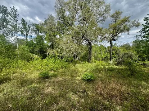 3084 NE Chervil Dr, Lee, FL 32059 photo 29