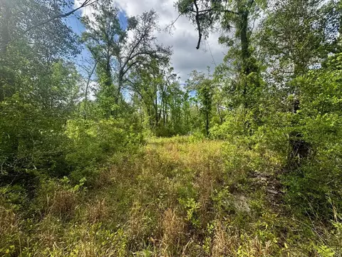 3084 NE Chervil Dr, Lee, FL 32059 photo 21