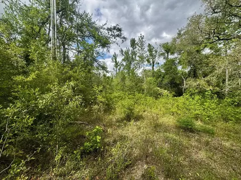3084 NE Chervil Dr, Lee, FL 32059 photo 30