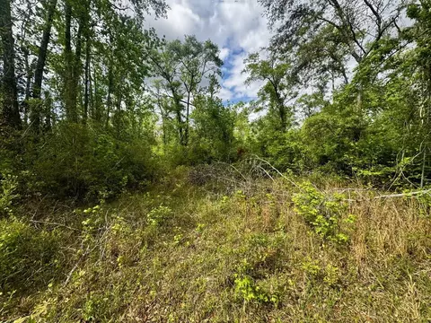 3084 NE Chervil Dr, Lee, FL 32059 photo 25