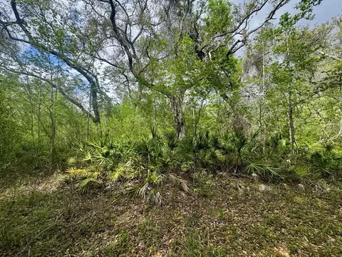 3084 NE Chervil Dr, Lee, FL 32059 photo 31