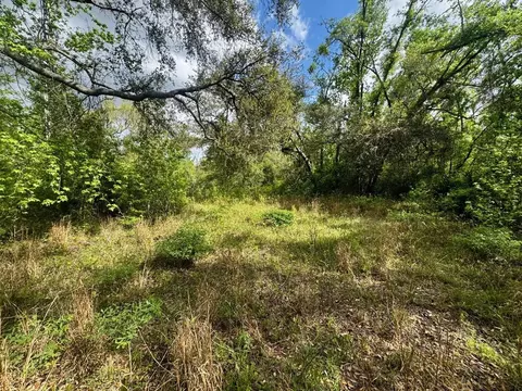 3084 NE Chervil Dr, Lee, FL 32059 photo 18