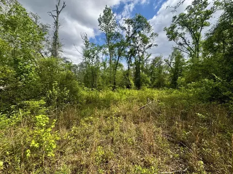 3084 NE Chervil Dr, Lee, FL 32059 photo 22
