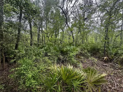 3084 NE Chervil Dr, Lee, FL 32059 photo 4