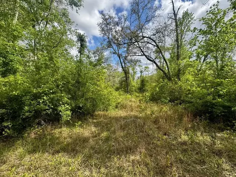 3084 NE Chervil Dr, Lee, FL 32059 photo 19