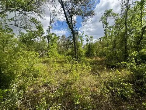 3084 NE Chervil Dr, Lee, FL 32059 photo 20