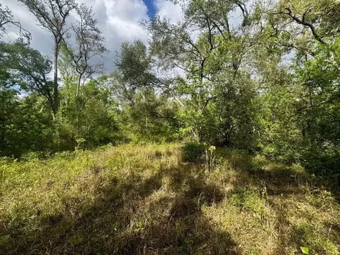 3084 NE Chervil Dr, Lee, FL 32059 photo 14
