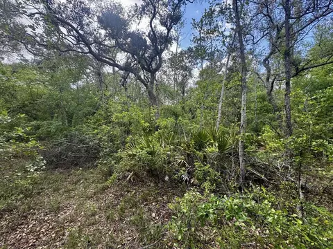 3084 NE Chervil Dr, Lee, FL 32059 photo 9