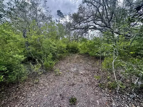 3084 NE Chervil Dr, Lee, FL 32059 photo 8