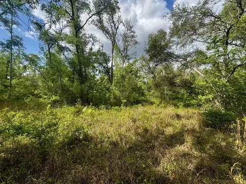 3084 NE Chervil Dr, Lee, FL 32059 photo 15