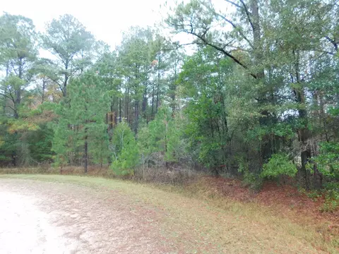 Nnn Orchard Road, Quincy, FL 32351