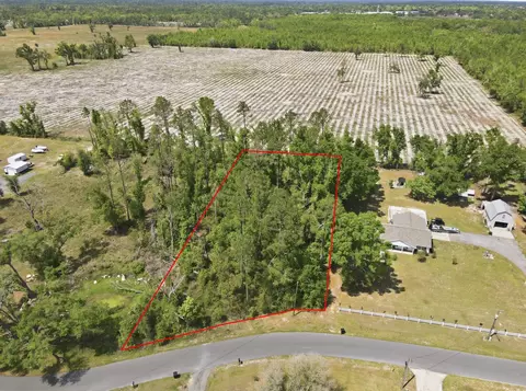 503 Judson Dr, Perry, FL 32348