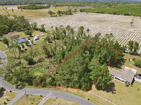 503 Judson Dr, Perry, FL 32348 photo 15
