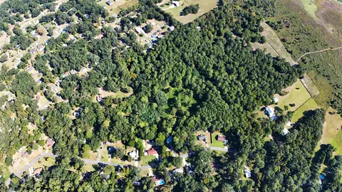 2901 Alyssa Pond Ct, Tallahassee, FL 32303