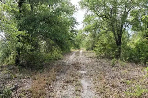 Vacant NE Cedar Trail, Pinetta, FL 32331