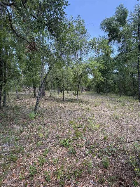 NE Ivy Drive, Lee, FL 32059 photo 7