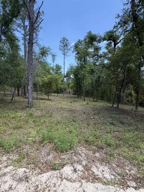 NE Ivy Drive, Lee, FL 32059 photo 5