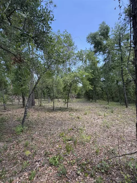 NE Ivy Drive, Lee, FL 32059