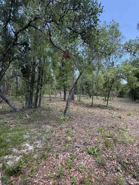 NE Ivy Drive, Lee, FL 32059 photo 6