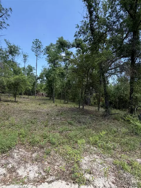 NE Ivy Drive, Lee, FL 32059 photo 3