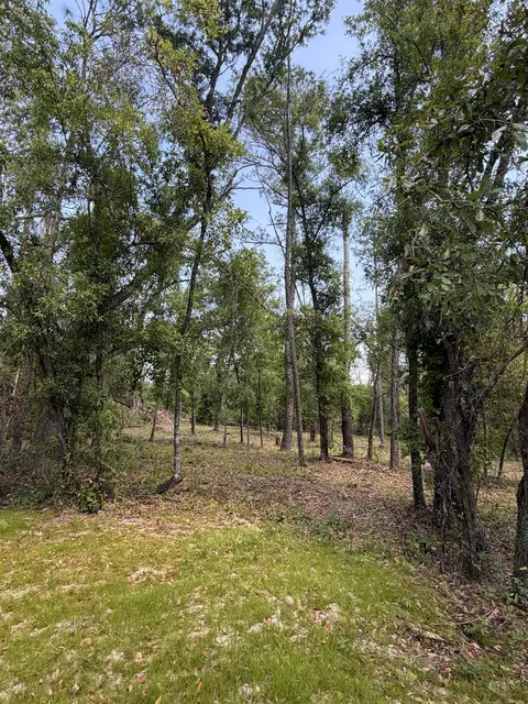 NE Ivy Drive, Lee, FL 32059 photo 10