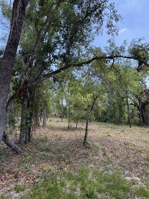 NE Ivy Drive, Lee, FL 32059 photo 9