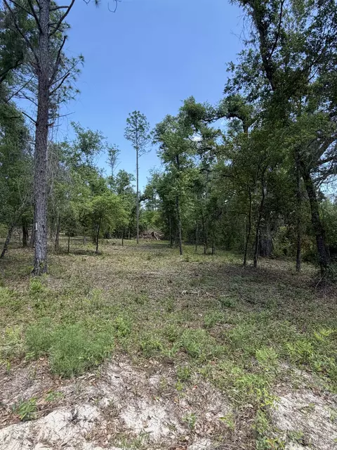 NE Ivy Drive, Lee, FL 32059 photo 4