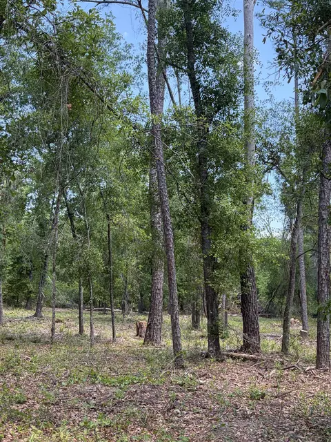 NE Ivy Drive, Lee, FL 32059 photo 11