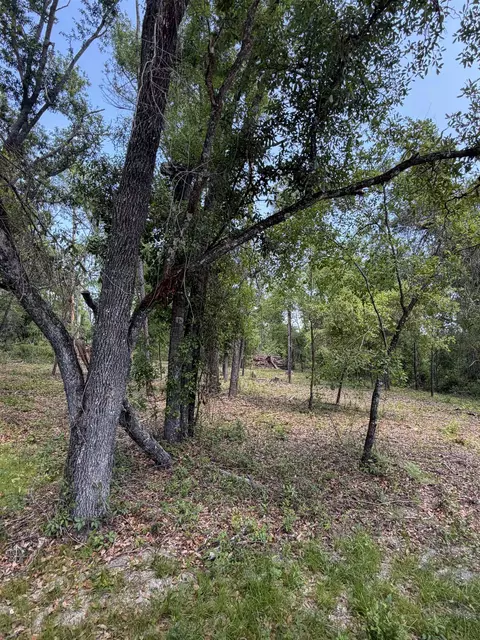 NE Ivy Drive, Lee, FL 32059 photo 8