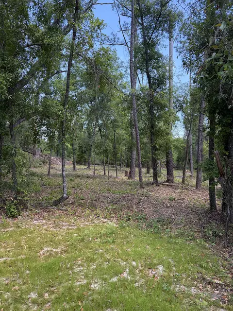 NE Ivy Drive, Lee, FL 32059 photo 2