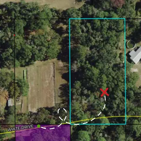 Nn White Drive, Crawfordville, FL 32327