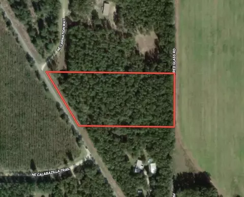 5386 NE Old Blue Springs Rd, Lee, FL 32059