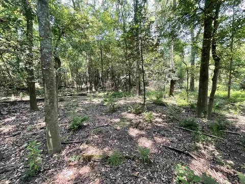 Vacant NE Chervil Drive, Lee, FL 32059 photo 38