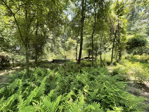Vacant NE Chervil Drive, Lee, FL 32059 photo 8