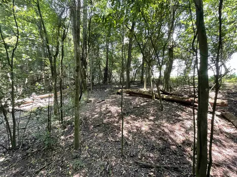 Vacant NE Chervil Drive, Lee, FL 32059 photo 27