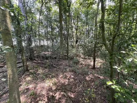 Vacant NE Chervil Drive, Lee, FL 32059 photo 10