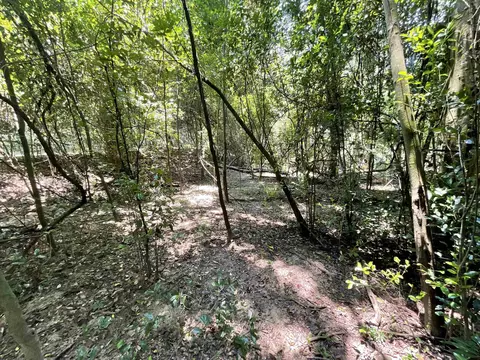 Vacant NE Chervil Drive, Lee, FL 32059 photo 31